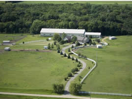 Horse farm for sale