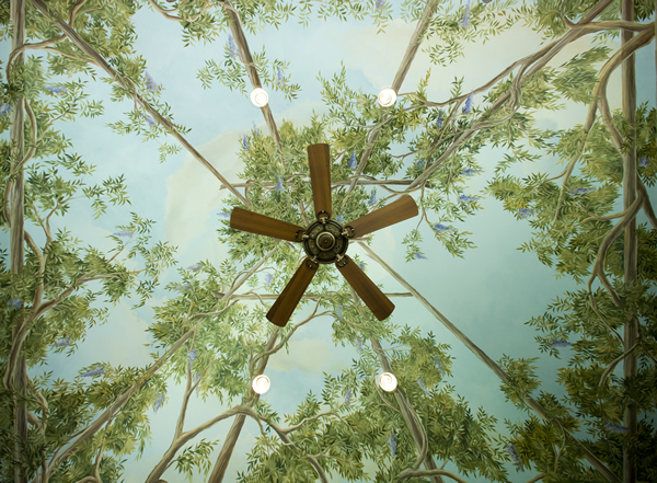 hand painted ceiling